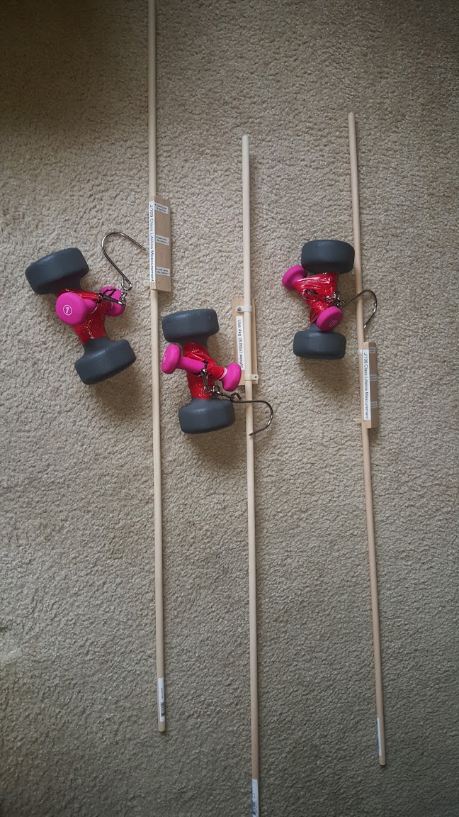 lifeline-weights.jpg