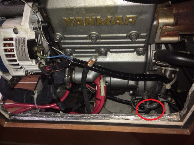 Yanmar (1).JPG